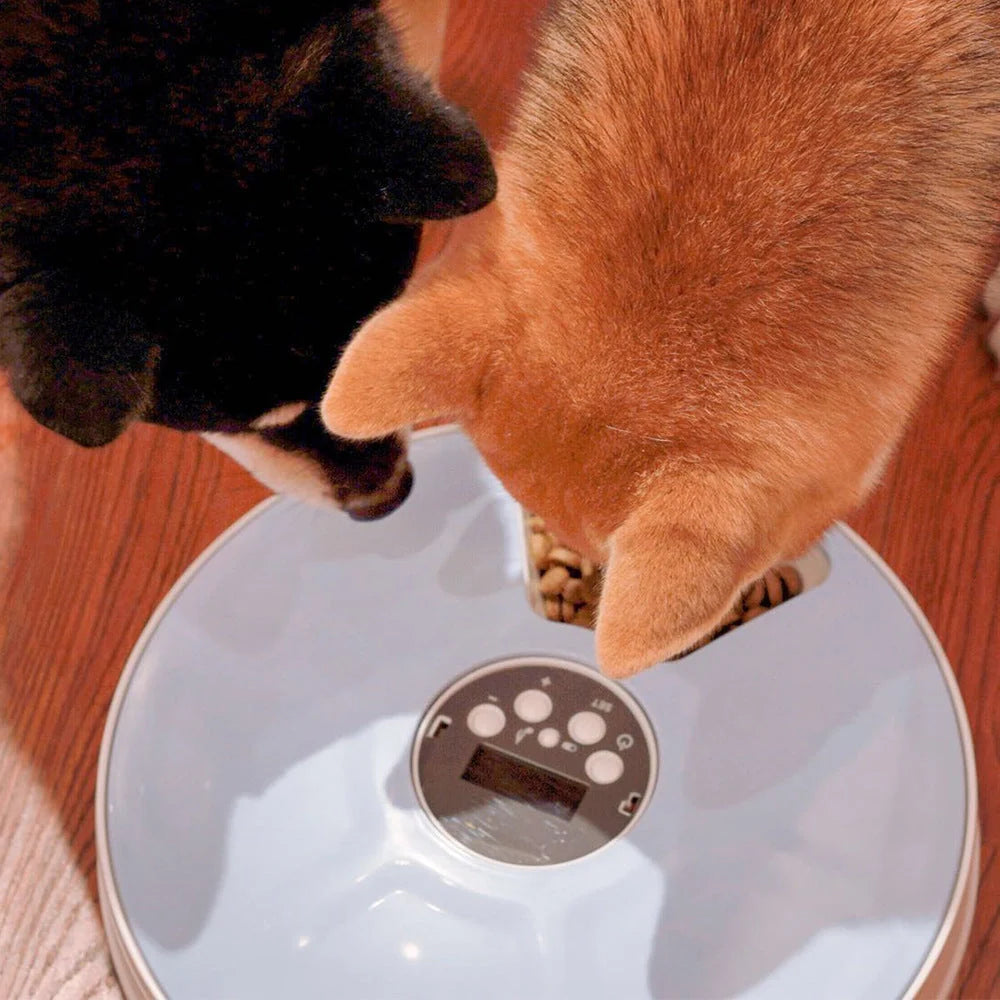 Automatic pet feeder with 6 meal trays and voice recorder for cats, dogs, and rabbits