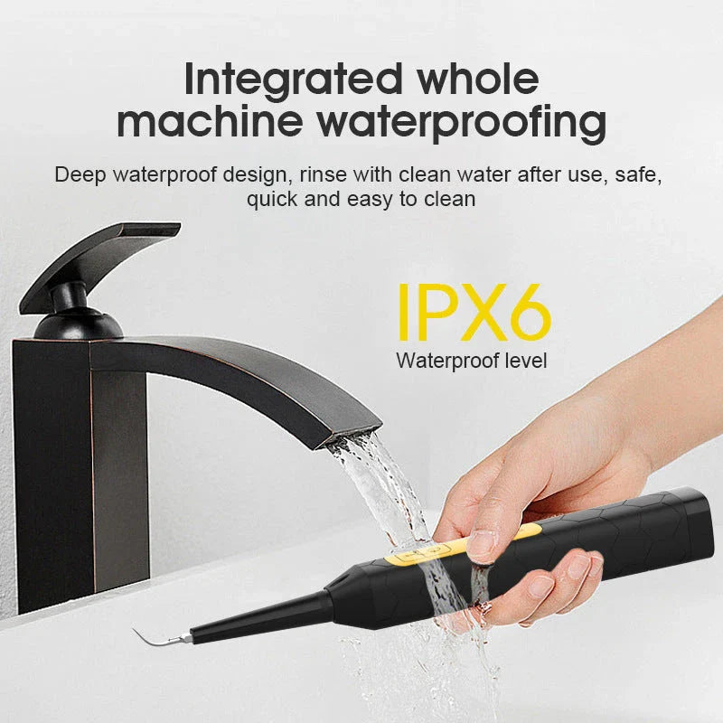 High-frequency vibration tooth cleaner with stainless steel head and USB charging