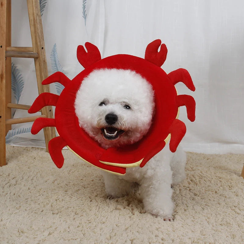 Coral fleece pet protection collar for small animals in various colors and sizes