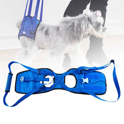 Disabled dog support harness in blue, showing adjustable waist and elastic handle for comfortable walks.
