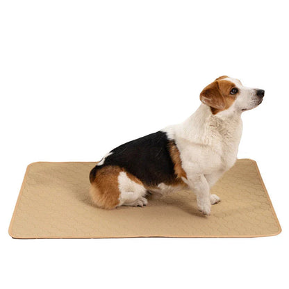 Highly absorbent, reusable dog diaper pads in various sizes and colors for pet owners