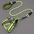 Nylon dog leash and chest harness set in green with adjustable strap and metal clip on white background