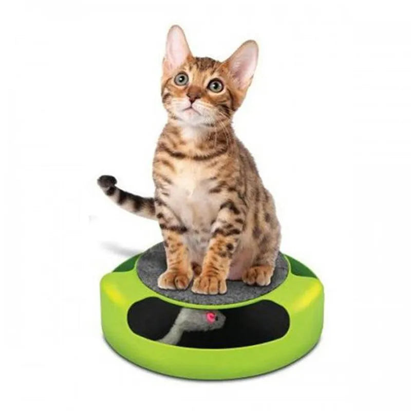 Green plastic mouse cat toy with scratch board surface on a flat surface