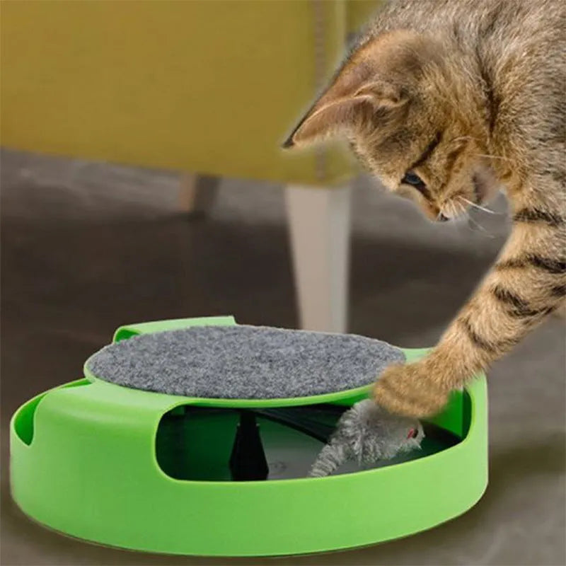 Green plastic mouse cat toy with scratch board surface on a flat surface