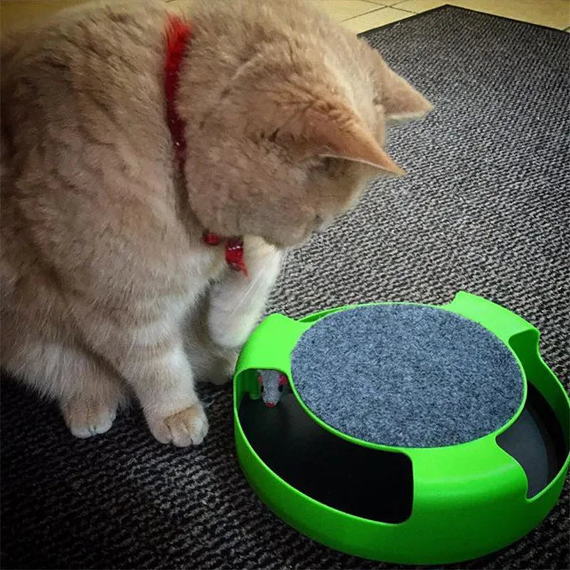 Green plastic mouse cat toy with scratch board surface on a flat surface