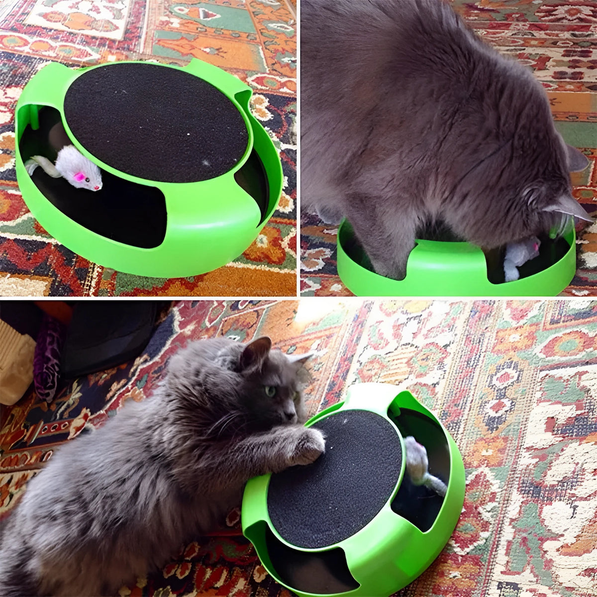 Green plastic mouse cat toy with scratch board surface on a flat surface