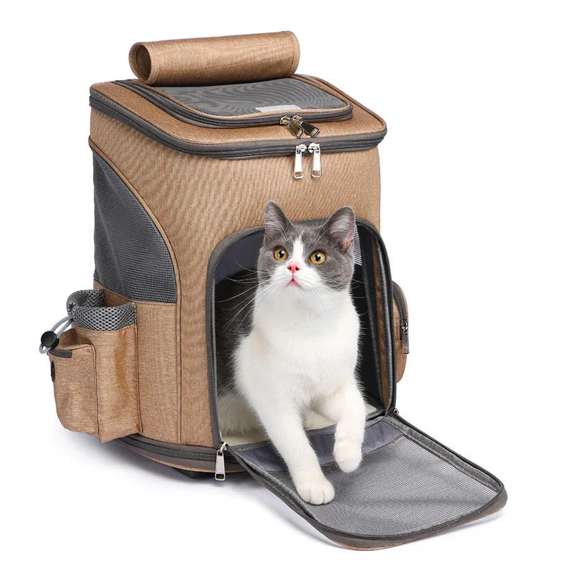 Portable folding trolley pet backpack for cats and small dogs with space capsule design