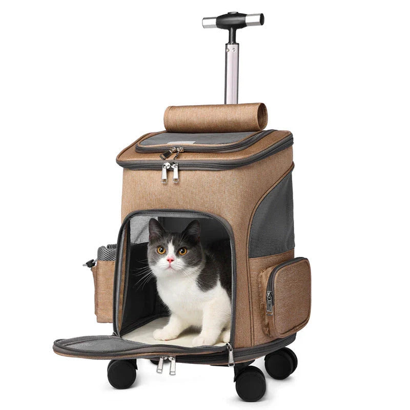 Portable folding trolley pet backpack for cats and small dogs with space capsule design