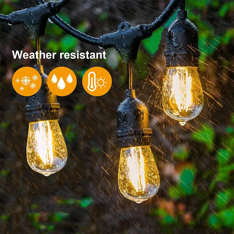 Black decorative light string with EU plug for indoor and outdoor use.