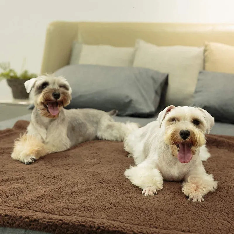 Plush pet air conditioning mat in beige, brown, and gray for dogs and cats, multiple sizes available