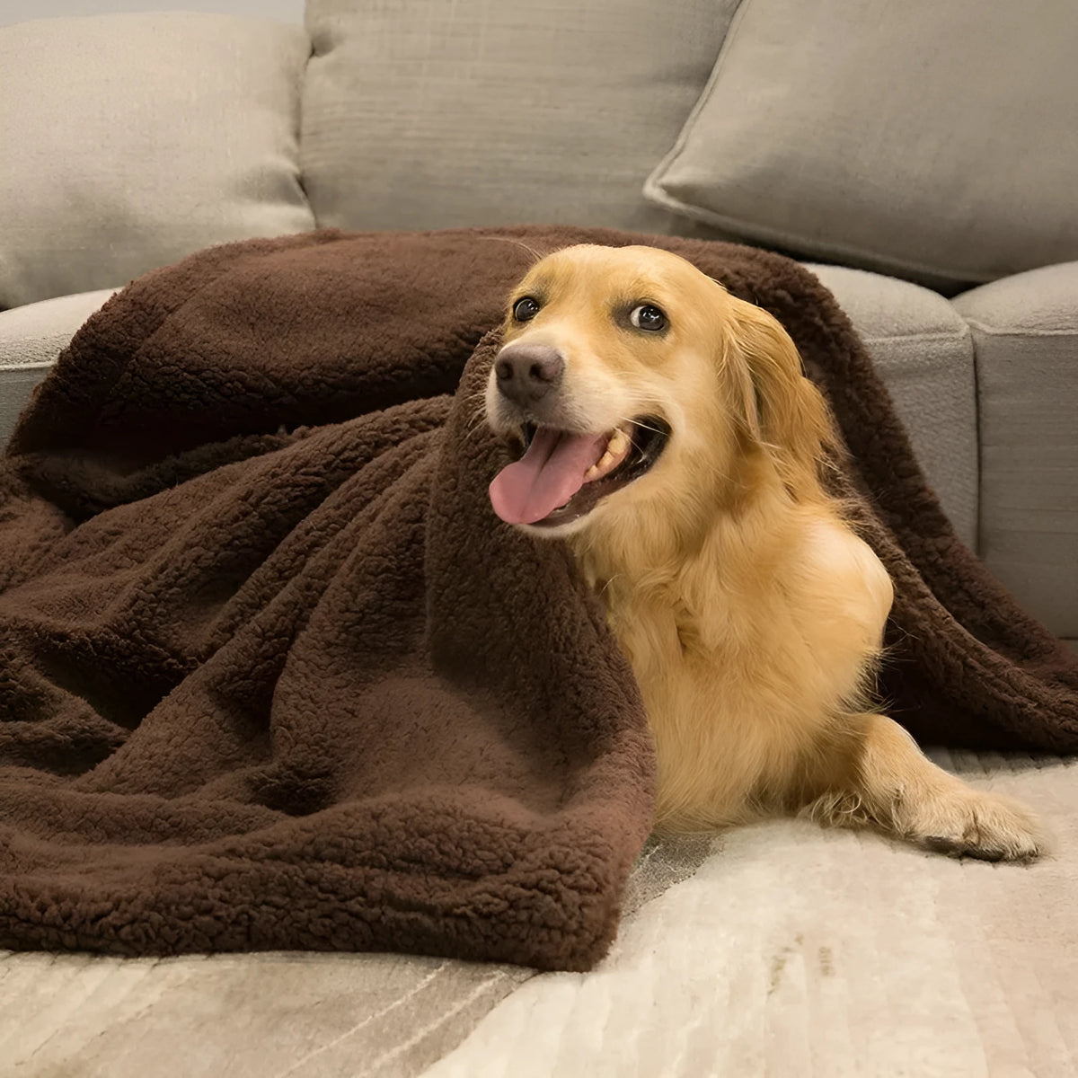 Plush pet air conditioning mat in beige, brown, and gray for dogs and cats, multiple sizes available