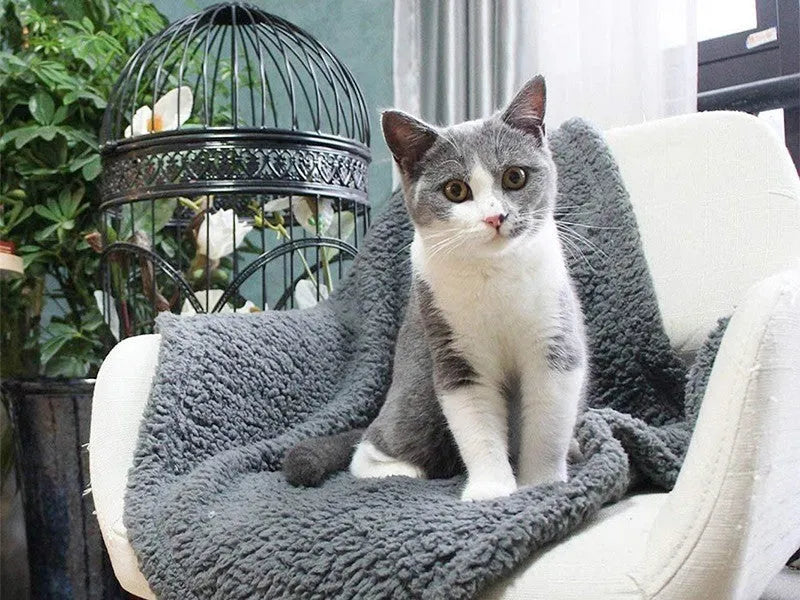 Plush pet air conditioning mat in beige, brown, and gray for dogs and cats, multiple sizes available