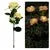 80cm tall solar-powered rose garden light with three heads and ground plug for lawn installation