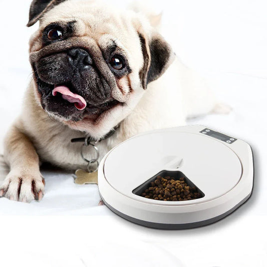 Automatic multi-grid pet feeder for cats and dogs with programmable timer