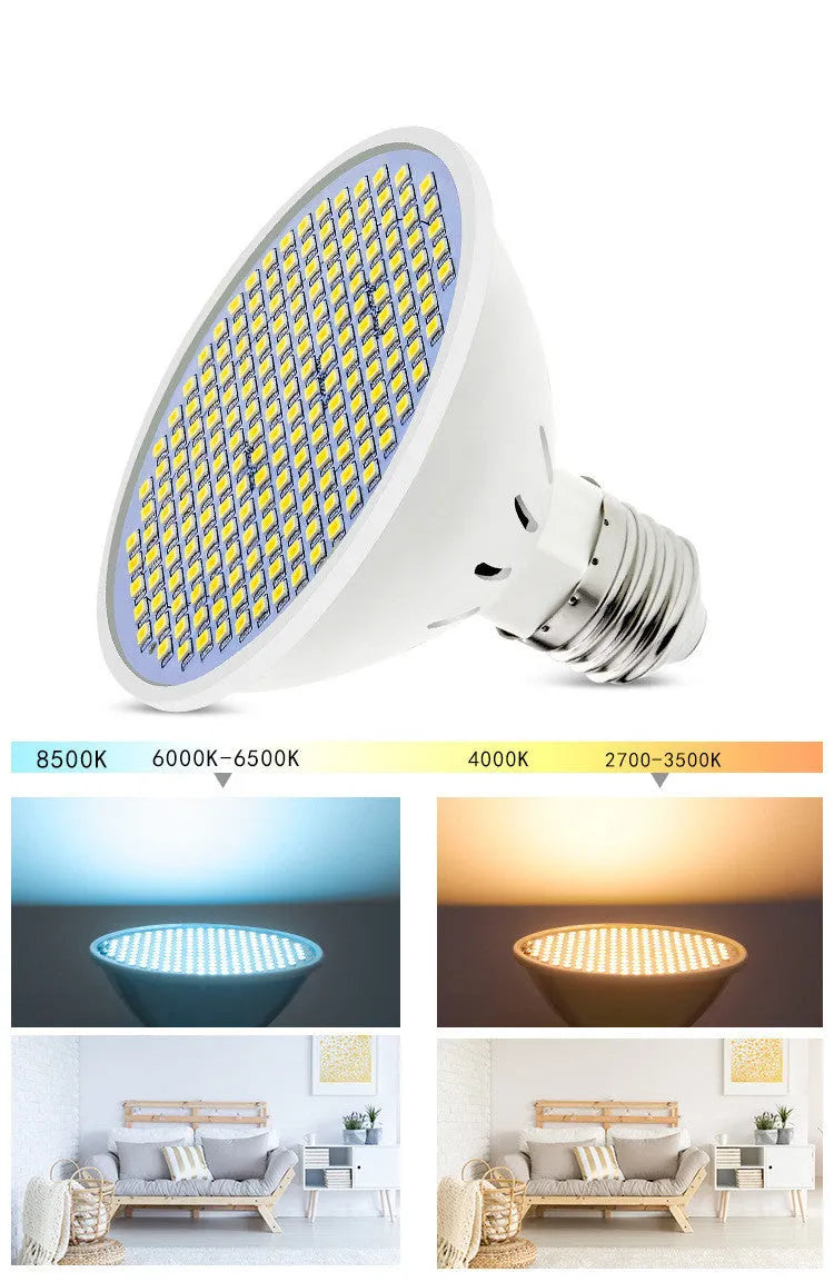 E27 LED lamp cup light bulb showing warm white and cool white options.
