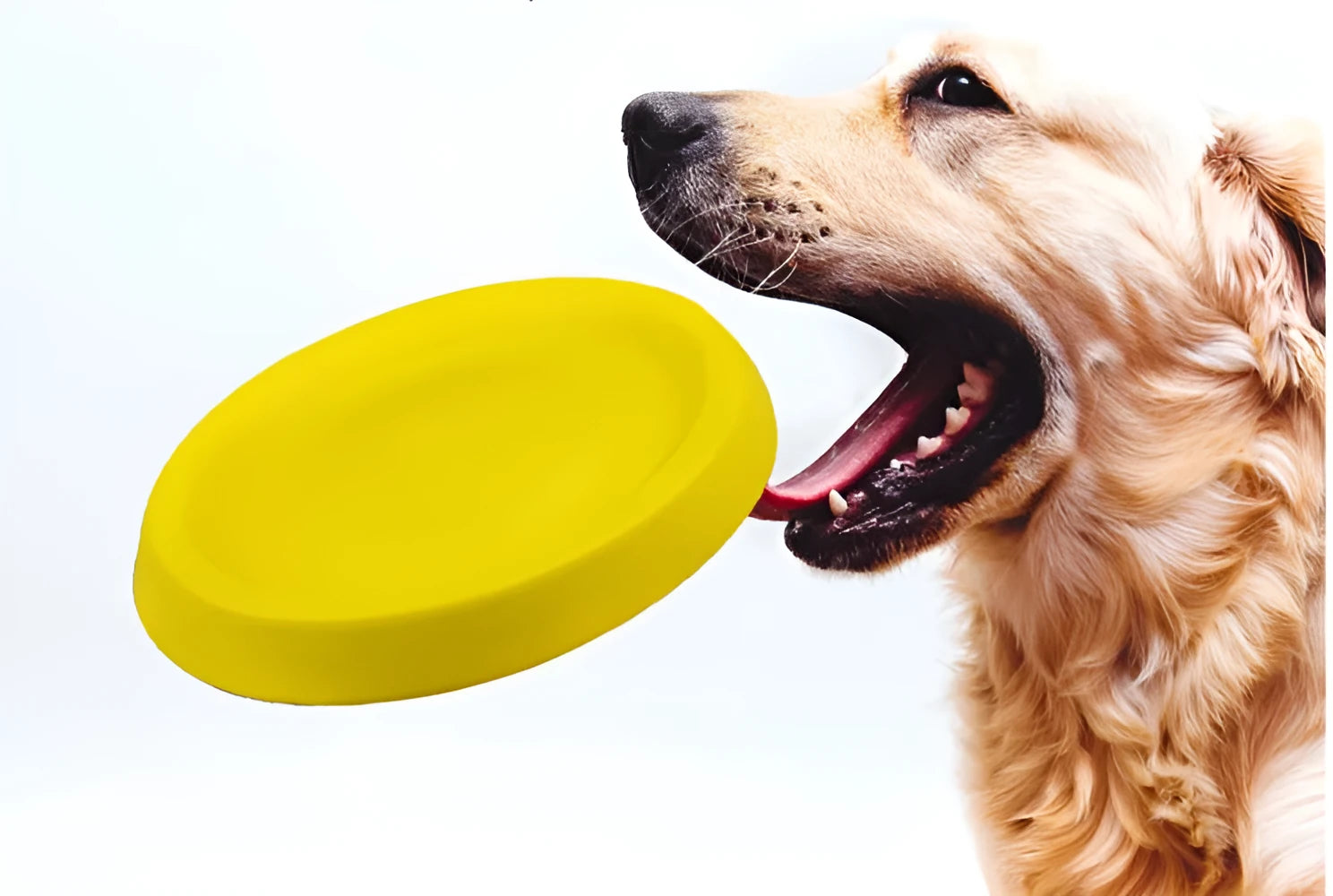 Yellow lightweight EVA dog throwing toy on grass for outdoor fetch play
