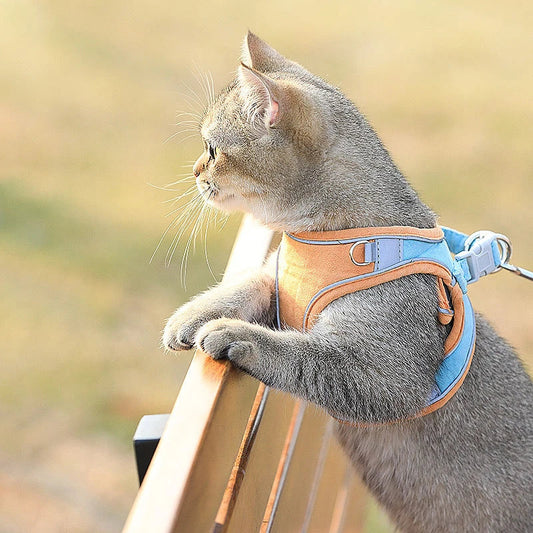 Premium suede cat harness in stylish British-inspired design, perfect for safe outdoor adventures with your feline friend.