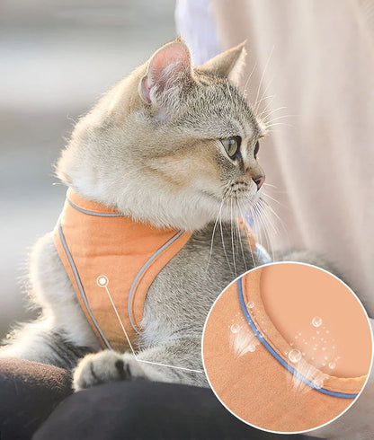 Premium suede cat harness in stylish British-inspired design, perfect for safe outdoor adventures with your feline friend.