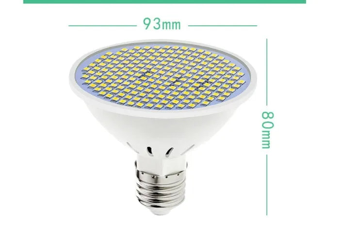 E27 LED lamp cup light bulb showing warm white and cool white options.