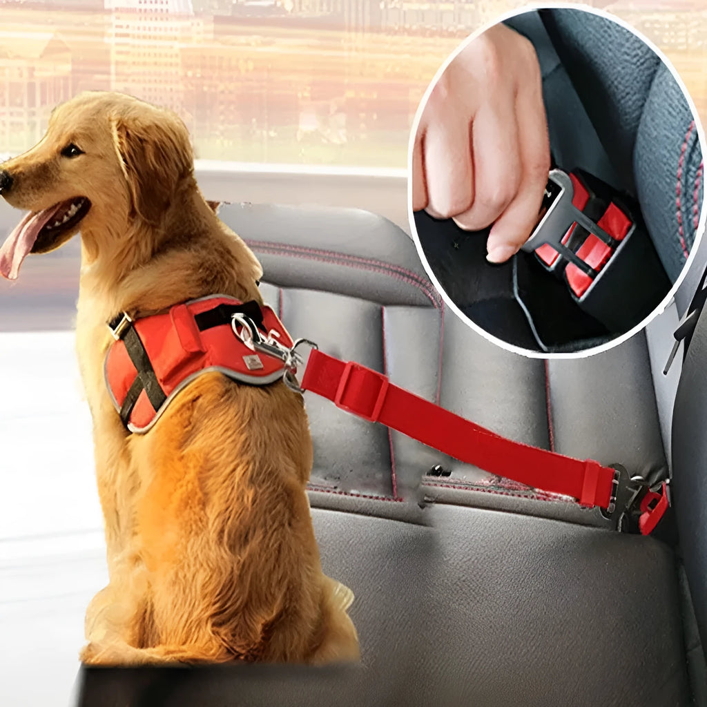 Black adjustable pet car seat belt with nylon fabric strap and zinc alloy clip on vehicle seat