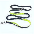Pet supplies dog running pull leash polyester 190x2.5cm adjustable belt blue green orange pink airplane box
