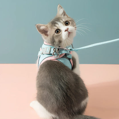 Green-orange stitched cat traction rope chest strap with reflective strips, sized S-XL for pets up to 30 kg, 360-degree wrap for secure leads