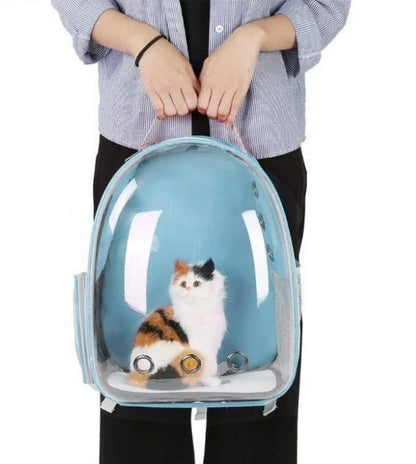 Transparent Pet Space Bag for cats, featuring a clear view and breathable design