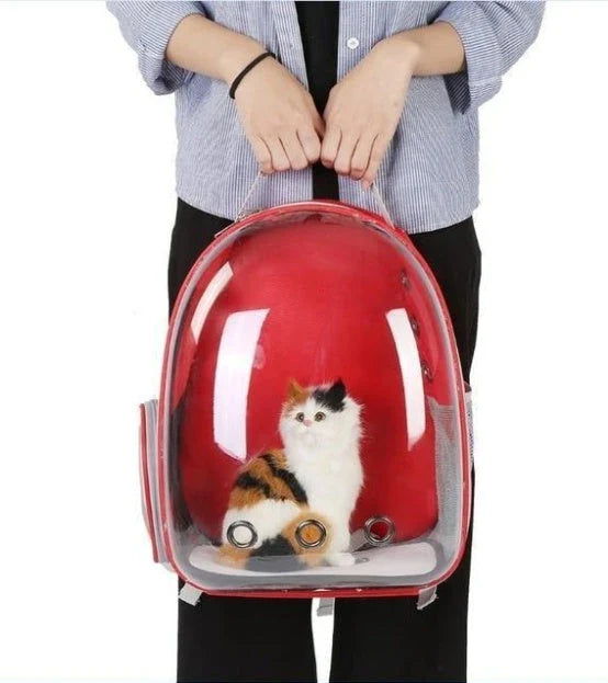 Transparent Pet Space Bag for cats, featuring a clear view and breathable design