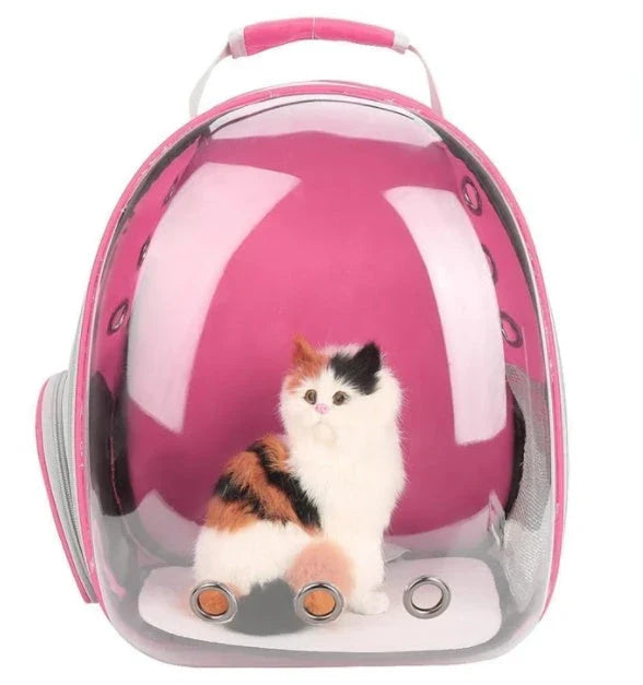 Transparent Pet Space Bag for cats, featuring a clear view and breathable design