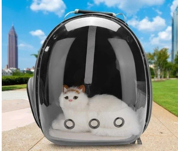 Transparent Pet Space Bag for cats, featuring a clear view and breathable design