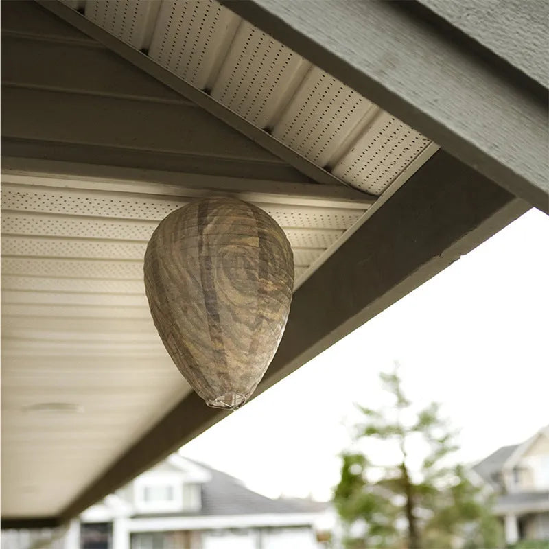 Paper beehive honeycomb lantern in photographic colour, 22cm wide by 28cm high.
