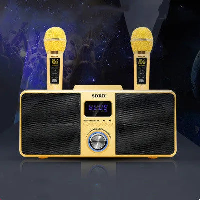 Black home KTV Bluetooth speaker with dual wireless microphones on display