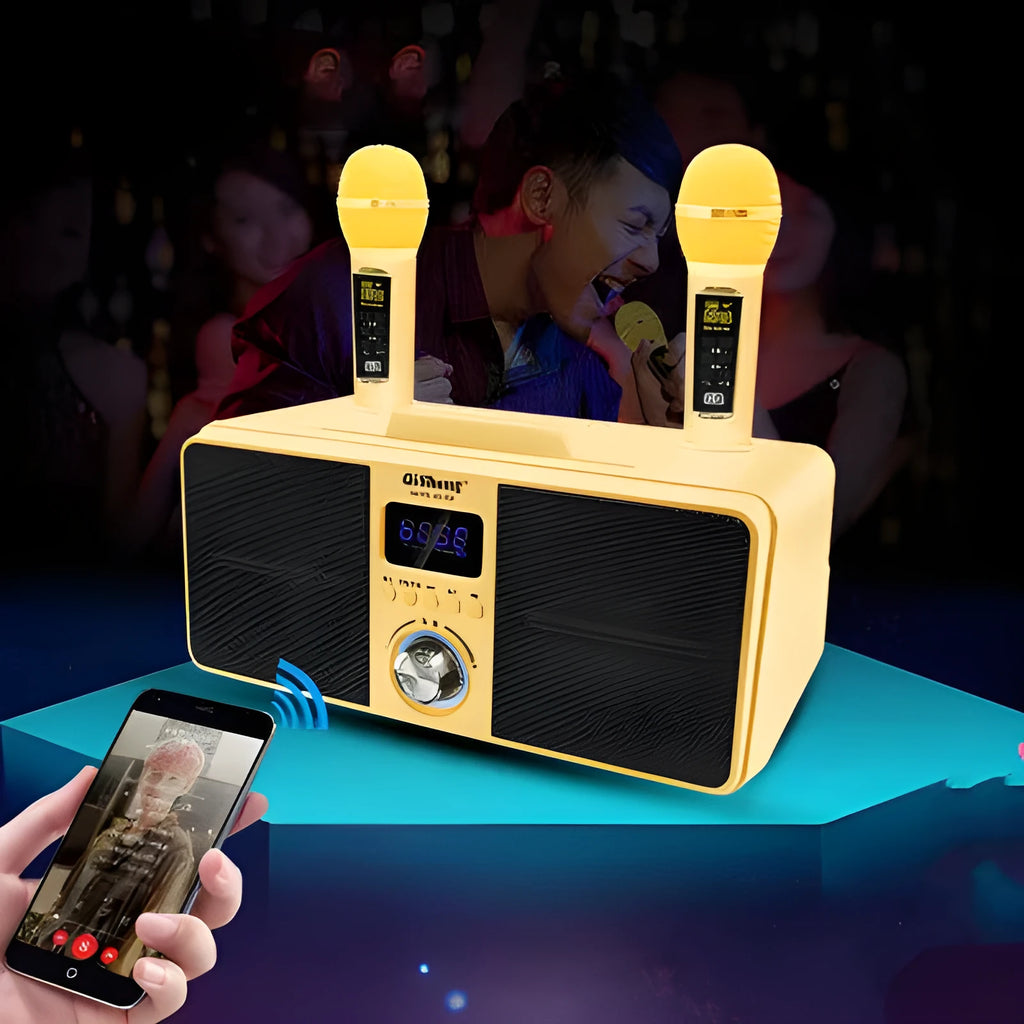 Black home KTV Bluetooth speaker with dual wireless microphones on display