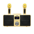 Black home KTV Bluetooth speaker with dual wireless microphones on display