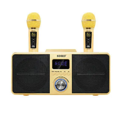 Black home KTV Bluetooth speaker with dual wireless microphones on display