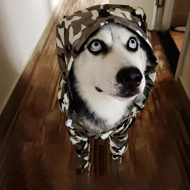Green camouflage dog raincoat for large breeds with four-leg coverage and fluorescent strips, shown on a standing dog