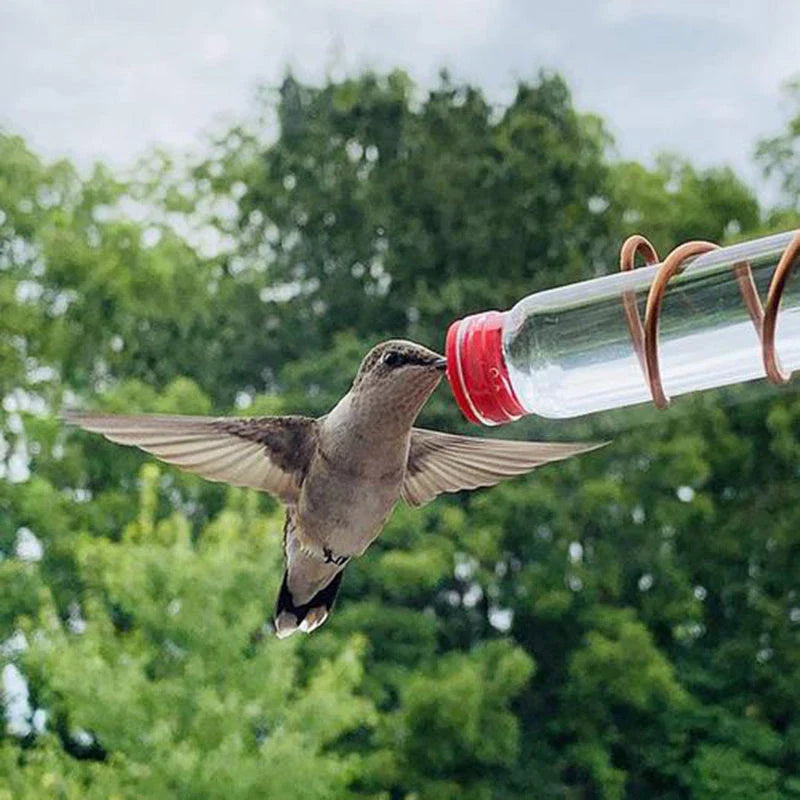 Handcrafted copper wire hummingbird feeder with transparent PET bottles for easy nectar monitoring, perfect for Kiwi gardens