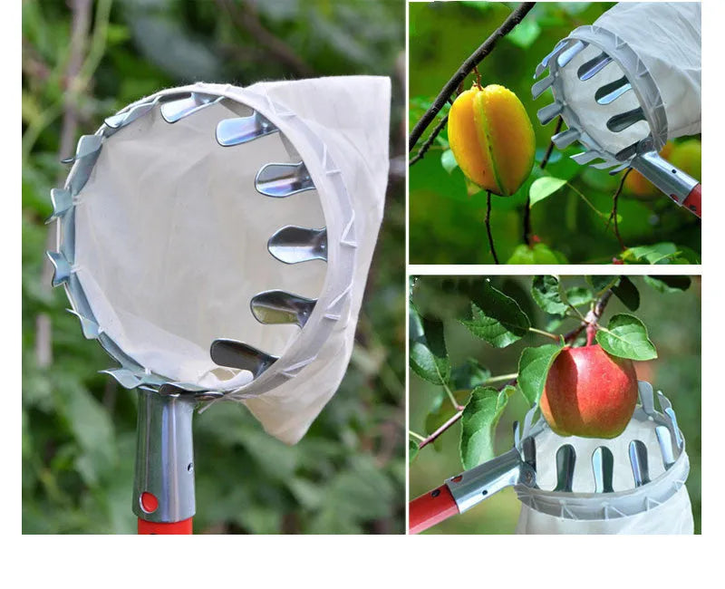 Steel frame fruit picker tool with cloth catching basket for pear and peach harvesting
