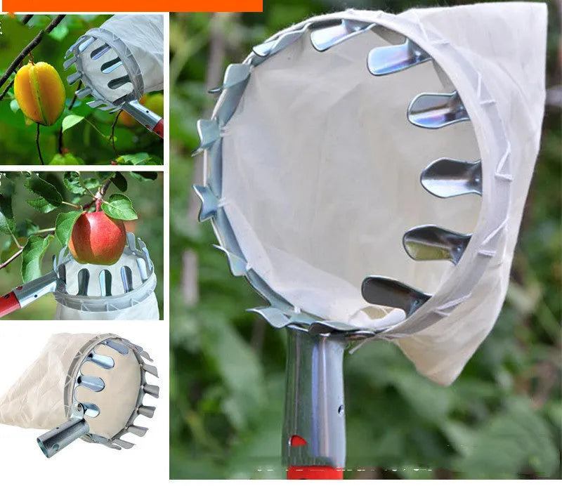 Steel frame fruit picker tool with cloth catching basket for pear and peach harvesting