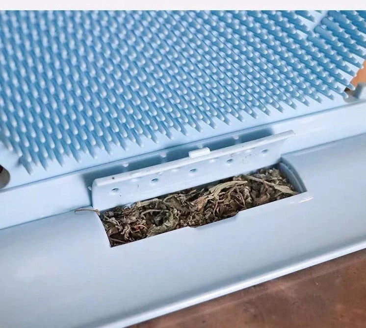 Cat self massage brush with catnip for shed hair removal and stress relief