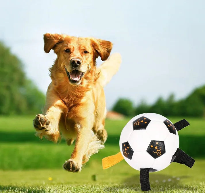 White 17cm TPU pet ball toy with attached rope for dog fetch and training
