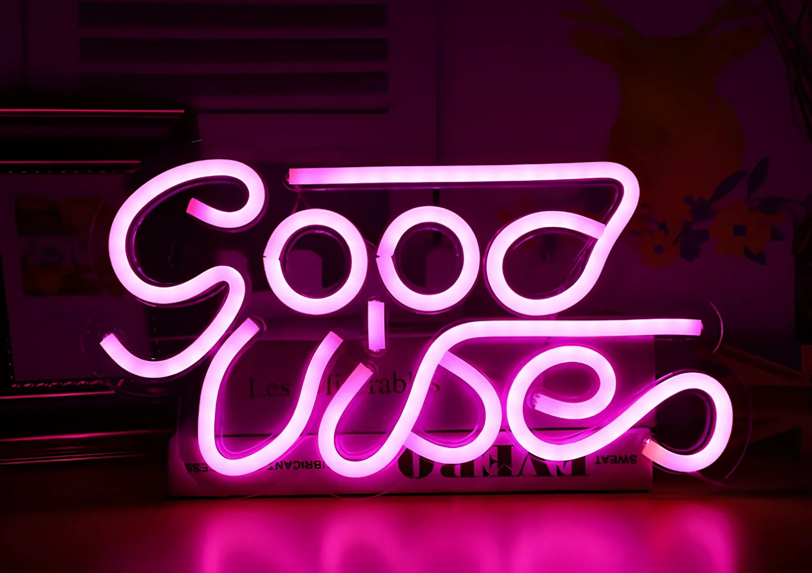 USB-powered LED neon wall light with transparent acrylic shell and decorative lighting effects