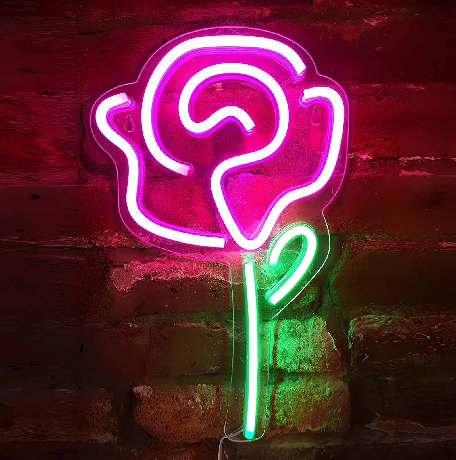 USB-powered LED neon wall light with transparent acrylic shell and decorative lighting effects