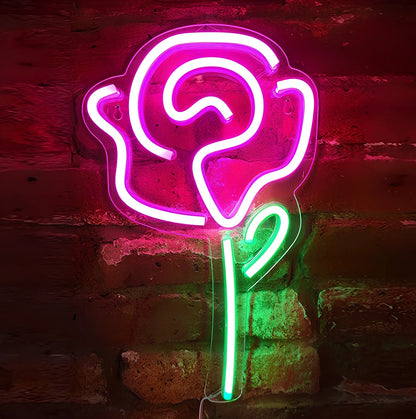 USB-powered LED neon wall light with transparent acrylic shell and decorative lighting effects