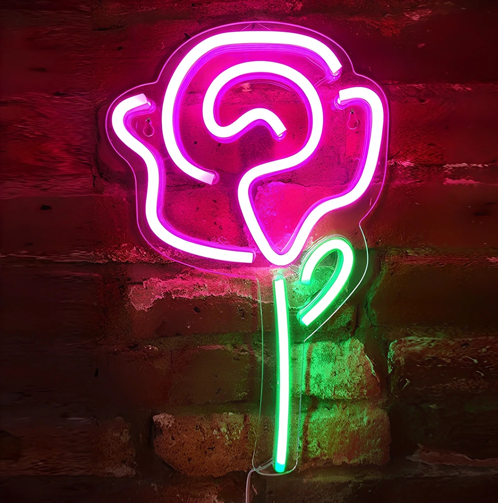 USB-powered LED neon wall light with transparent acrylic shell and decorative lighting effects