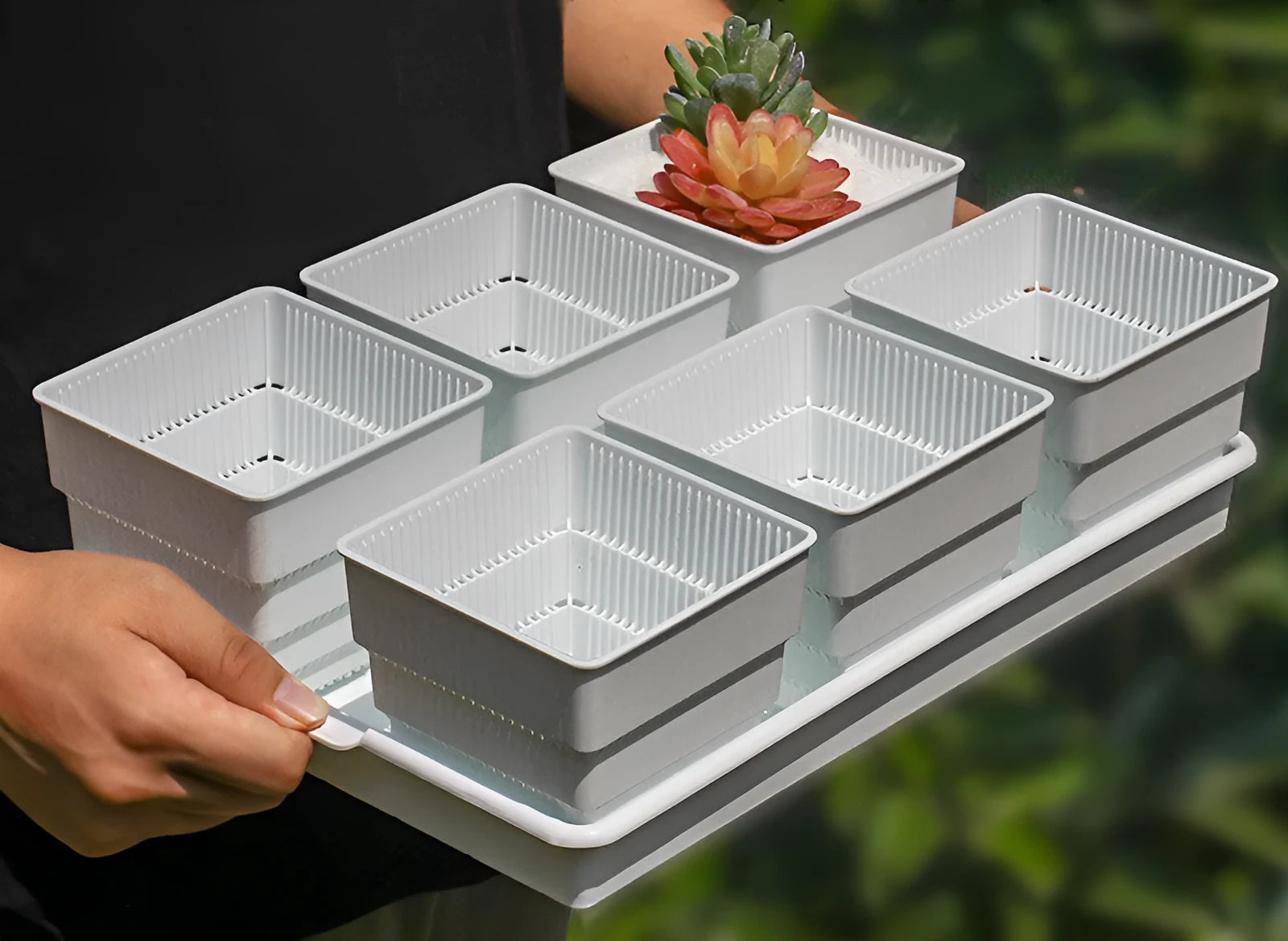 Meishi black and white resin controlled root flower pot set for succulents on a table.