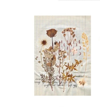 Herbarium series DIY plant stickers pack of 10, featuring durable pet+art paper and white ink designs