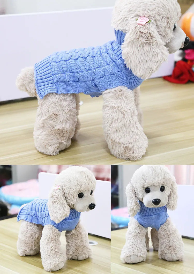 Blue wool dog sweater with twisted rope texture on a small dog, showing chest and back fit.