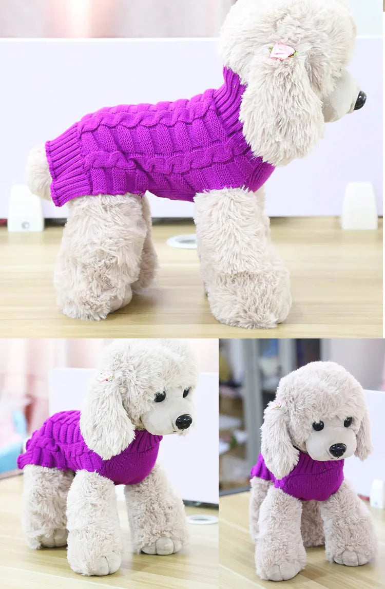 Blue wool dog sweater with twisted rope texture on a small dog, showing chest and back fit.