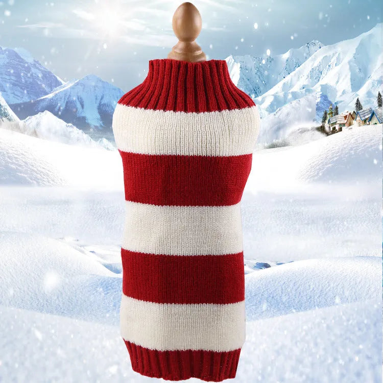 Blue wool dog sweater with twisted rope texture on a small dog, showing chest and back fit.